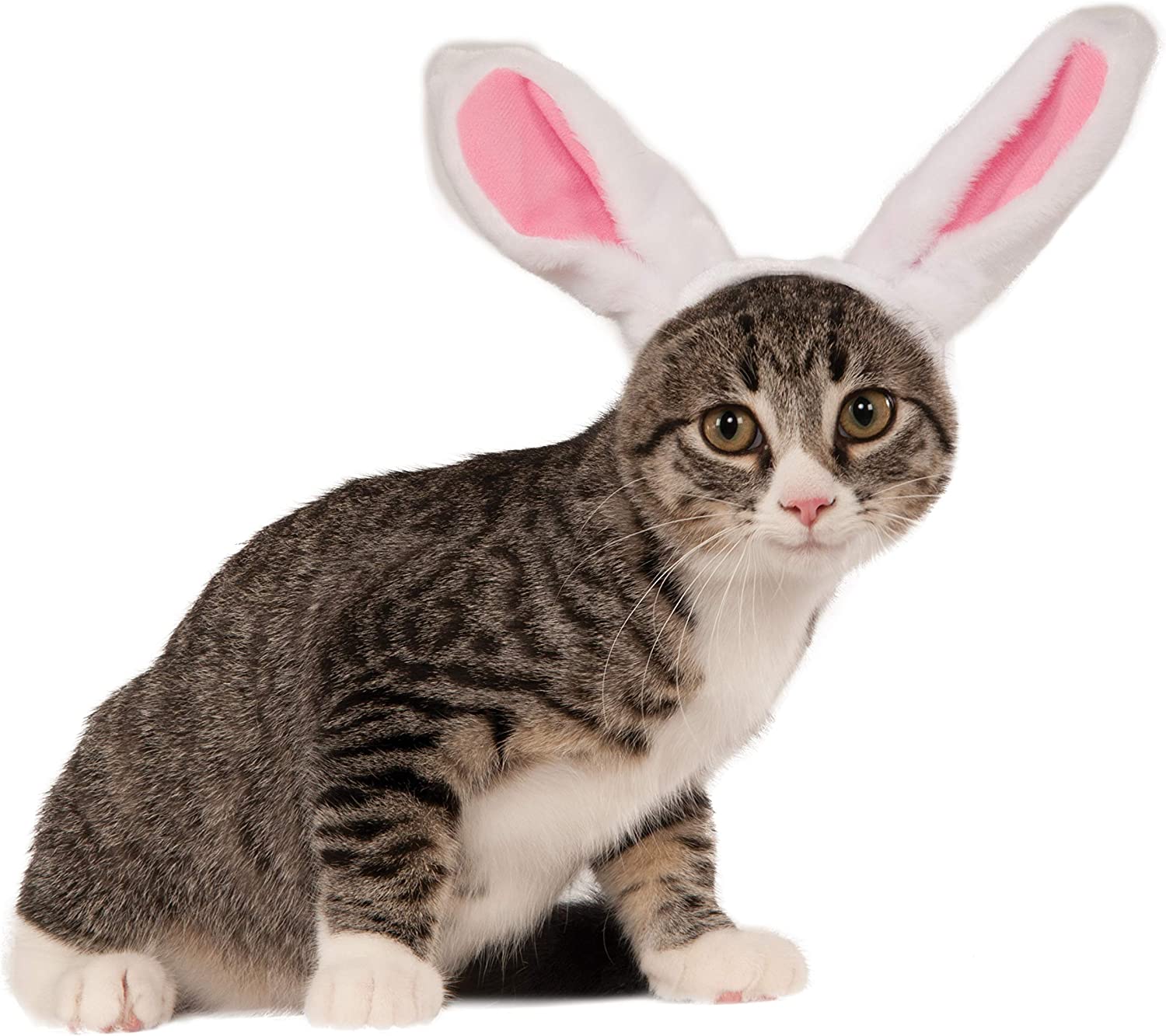 Bunny Ears for Your Pet-dog-catshirt-pettoyus