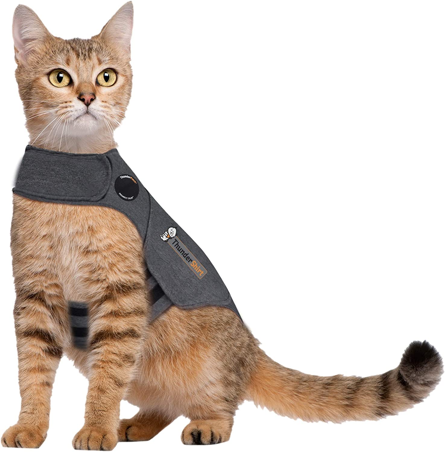 ThunderShirt Classic Cat Anxiety Jacket, Heather Gray, Medium-pettoyus-catshirts